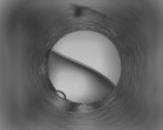 X0000051910515200506241106