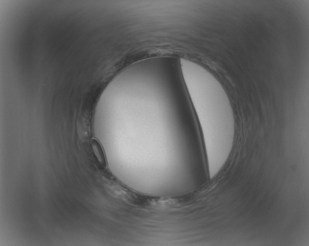 X0000051910517200506241106
