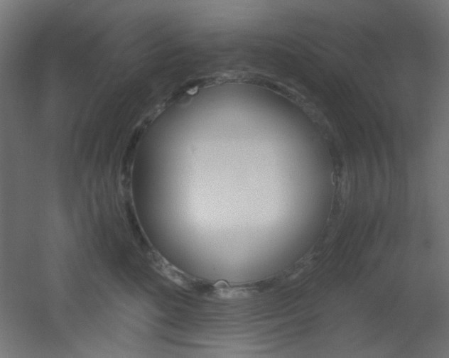 X0000051910520200506241106