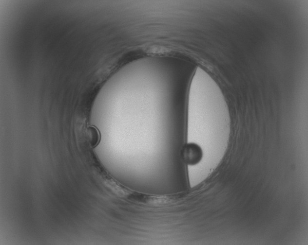 X0000051910521200506241106
