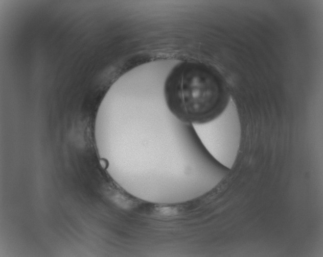 X0000051910522200506241106
