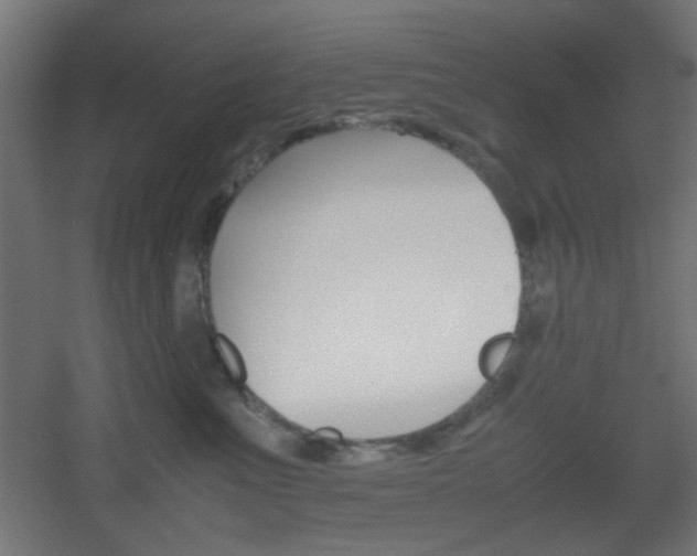 X0000051910523200506241106