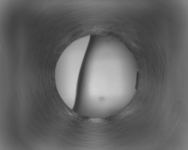 X0000051910528200506241106