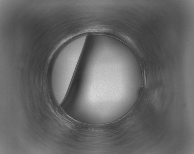 X0000051910531200506241105