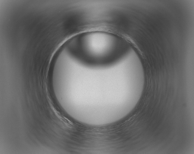 X0000051910532200506241105