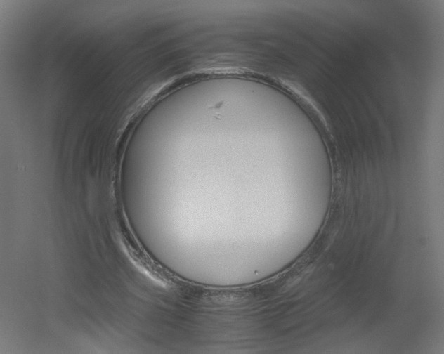 X0000051910533200506241105