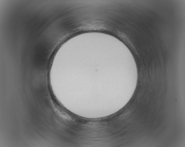 X0000051910534200506241105