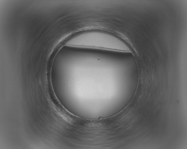 X0000051910535200506241105