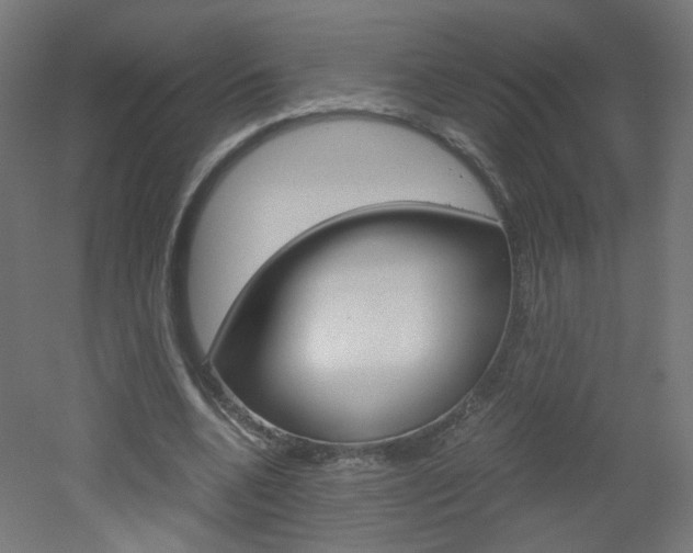 X0000051910536200506241105
