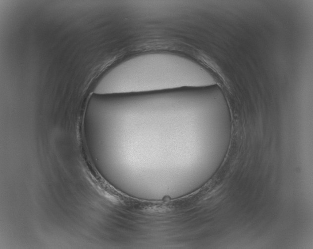 X0000051910537200506241106