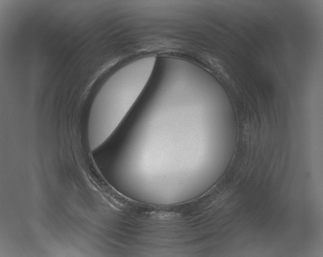 X0000051910539200506241106