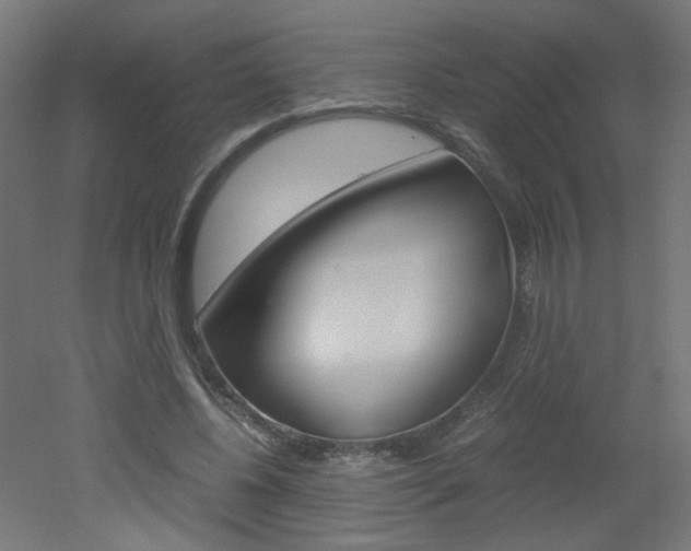 X0000051910540200506241106