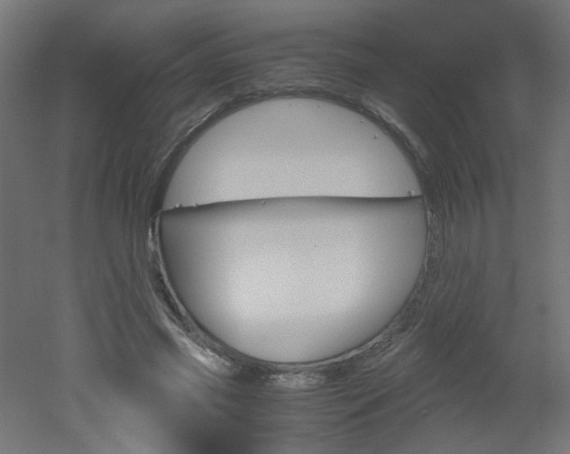 X0000051910541200506241106