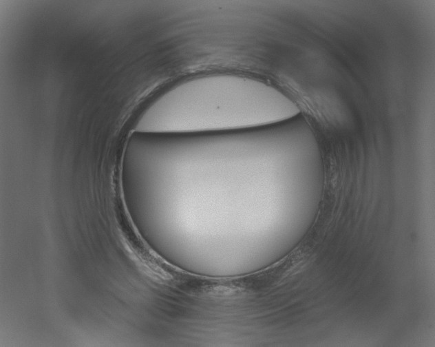 X0000051910542200506241106