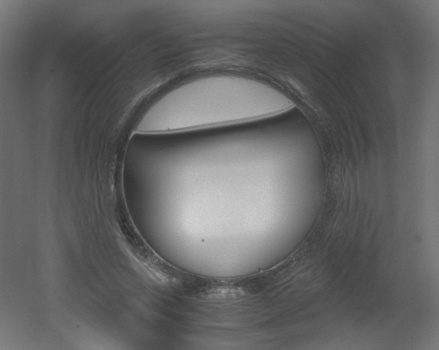 X0000051910543200506241106