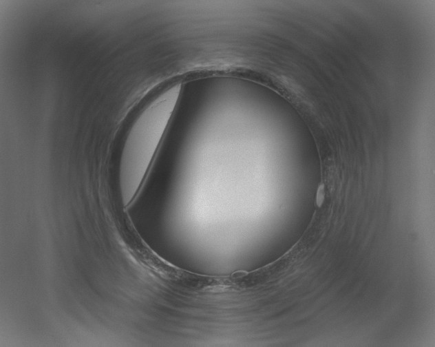 X0000051910544200506241106