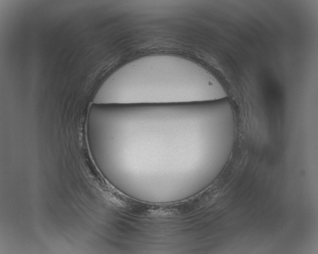 X0000051910545200506241106