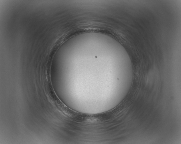 X0000051910547200506241106