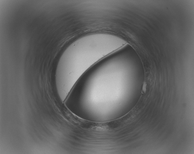 X0000051910548200506241106