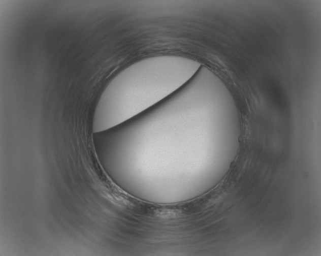 X0000051910549200506241106
