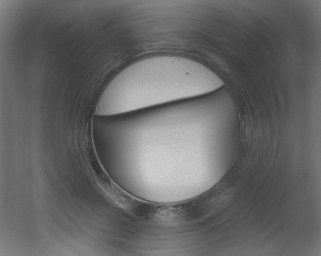 X0000051910550200506241106