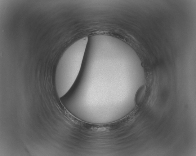 X0000051910553200506241106