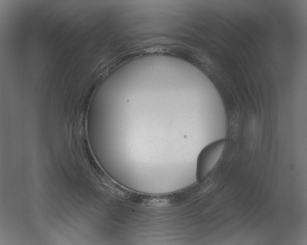 X0000051910554200506241106