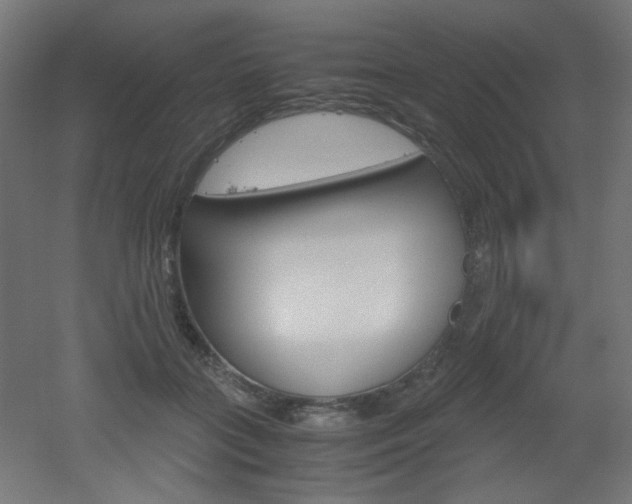 X0000051910555200506241106