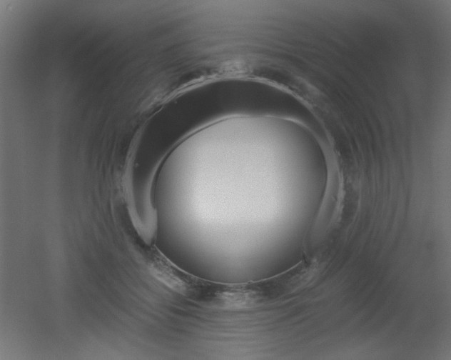 X0000051910556200506241106