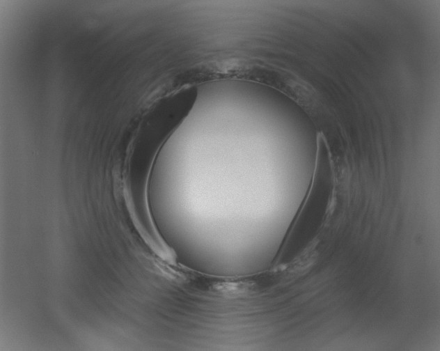 X0000051910558200506241106
