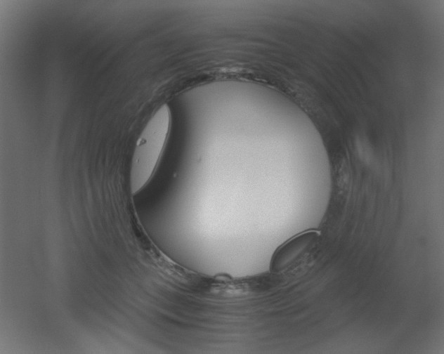 X0000051910559200506241106