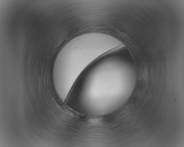 X0000051910560200506241106