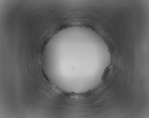 X0000051910561200506241106