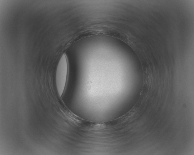 X0000051910562200506241106