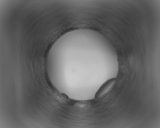 X0000051910563200506241106