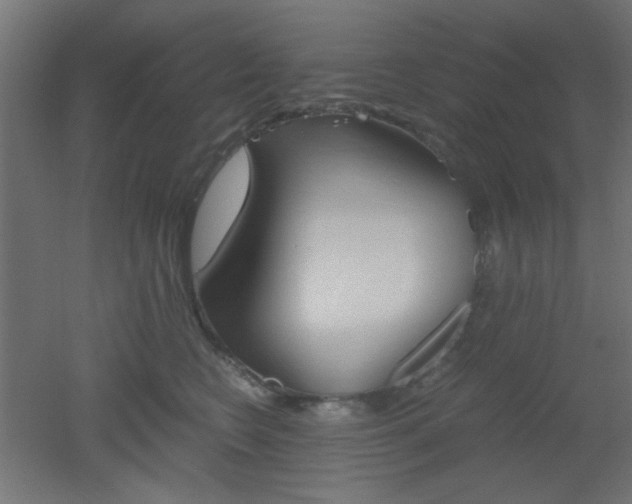 X0000051910566200506241106