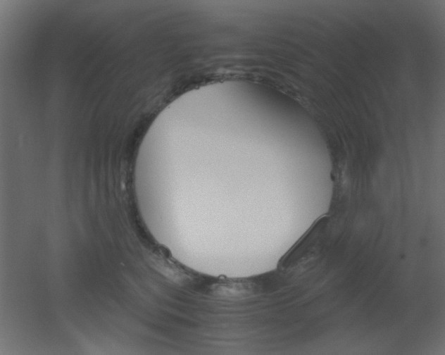 X0000051910567200506241106