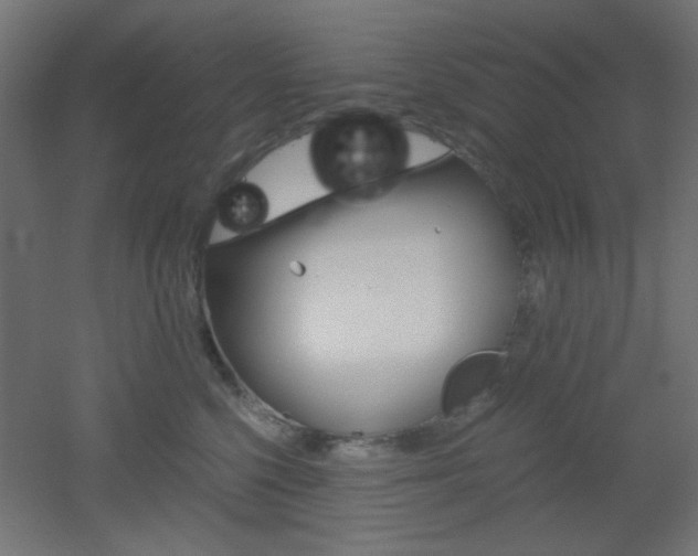 X0000051910568200506241106