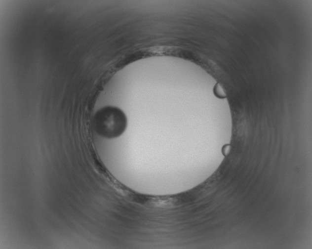 X0000051910569200506241106