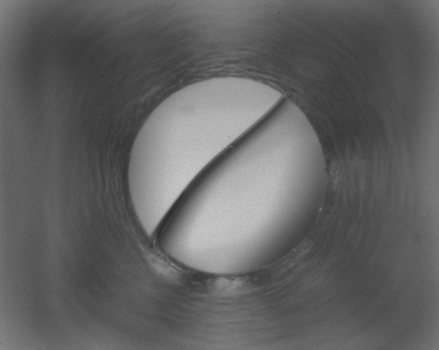 X0000051910570200506241106