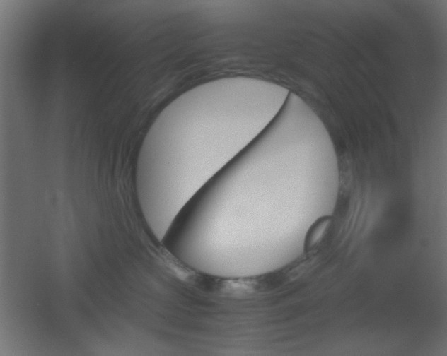 X0000051910573200506241106