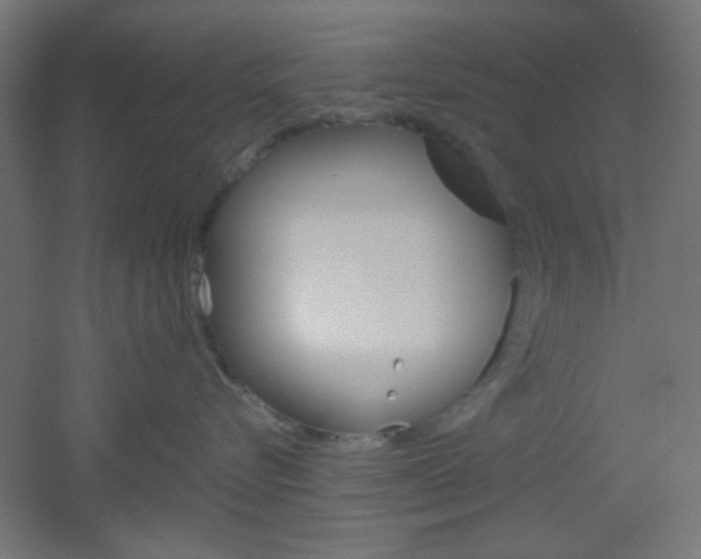 X0000051910576200506241106