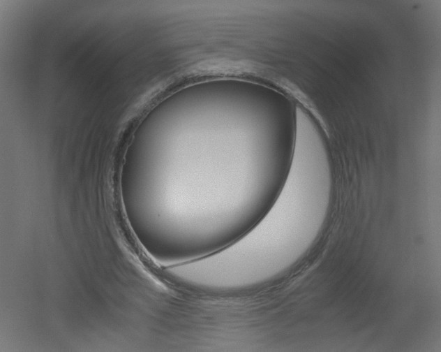 X0000051910581200506241105