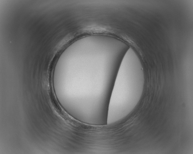 X0000051910582200506241105