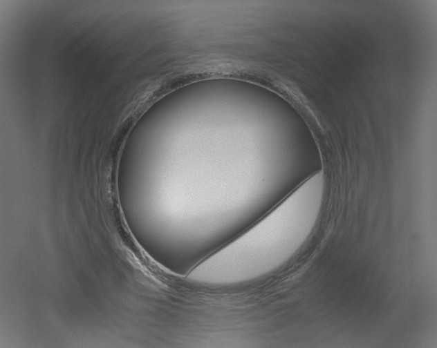 X0000051910585200506241105