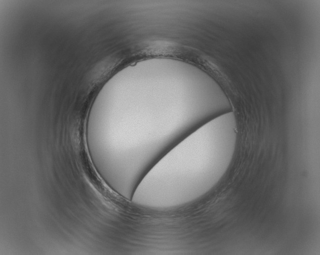 X0000051910586200506241105