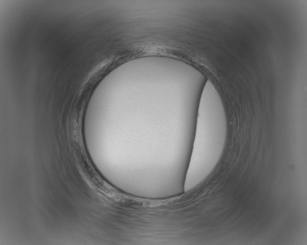 X0000051910587200506241105