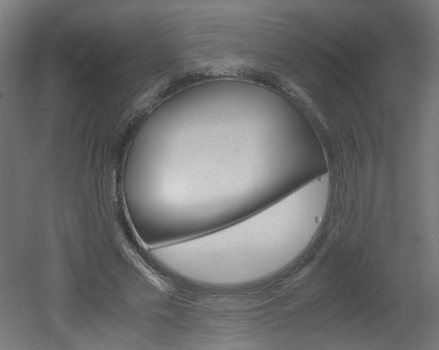 X0000051910589200506241105