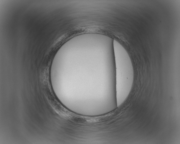 X0000051910591200506241105