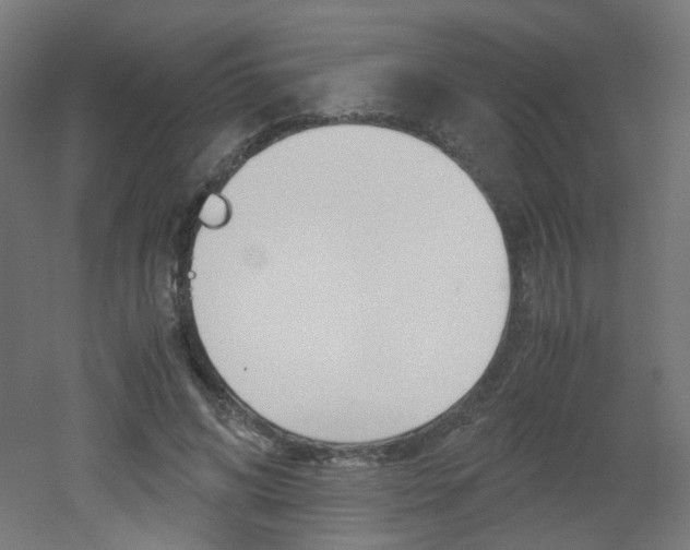 X0000051910592200506241105